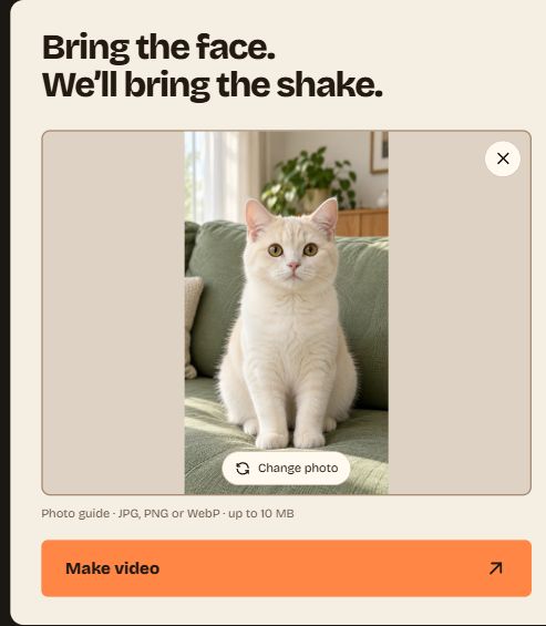 A selected kitten photo in the creator, with Change photo and Make video controls